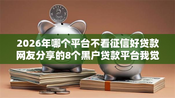 2026年哪个平台不看征信好贷款网友分享的8个黑户贷款平台我觉得不错！