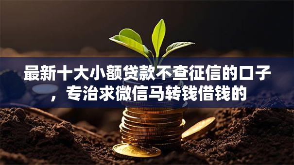 最新十大小额贷款不查征信的口子，专治求微信马转钱借钱的