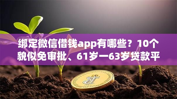绑定微信借钱app有哪些？10个貌似免审批、61岁一63岁贷款平台合集