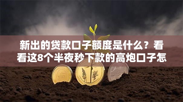 新出的贷款口子额度是什么？看看这8个半夜秒下款的高炮口子怎么样
