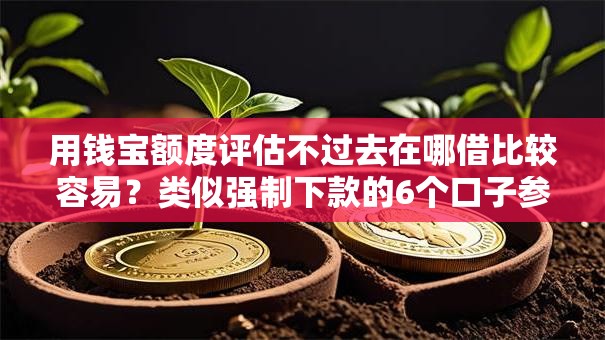 用钱宝额度评估不过去在哪借比较容易？类似强制下款的6个口子参考