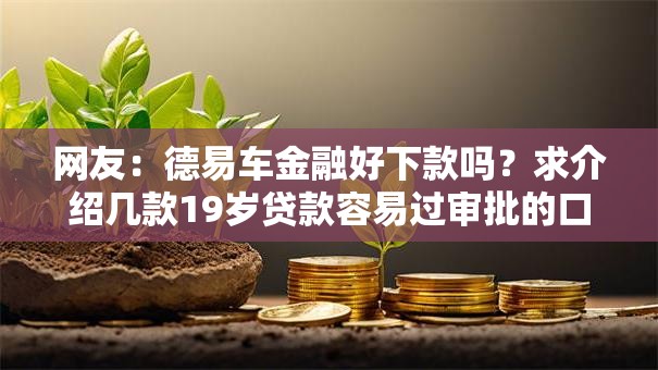 网友：德易车金融好下款吗？求介绍几款19岁贷款容易过审批的口子