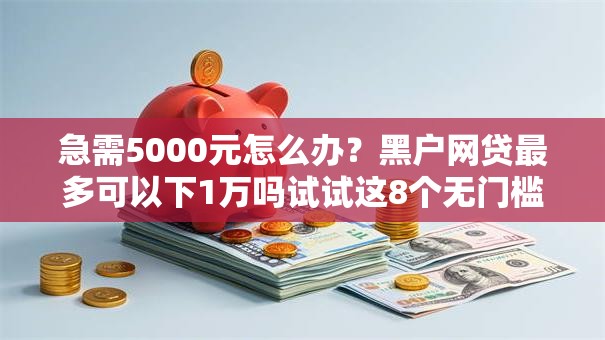 急需5000元怎么办？黑户网贷最多可以下1万吗试试这8个无门槛平台
