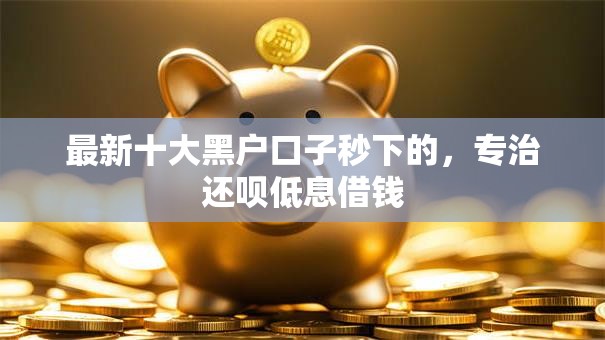 最新十大黑户口子秒下的，专治还呗低息借钱