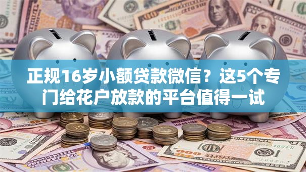 正规16岁小额贷款微信?这5个专门给花户放款的平台值得一试 正规16岁小额贷款微信?这5个专门给花户放款的平台值得一试