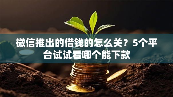 微信推出的借钱的怎么关？5个平台试试看哪个能下款