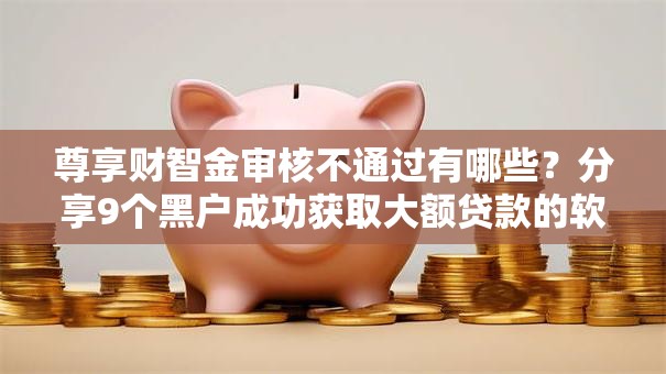 尊享财智金审核不通过有哪些？分享9个黑户成功获取大额贷款的软件