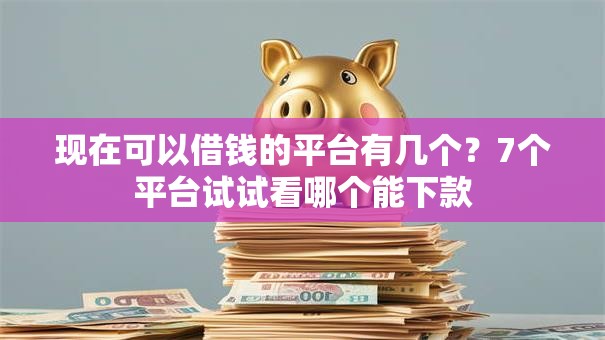 现在可以借钱的平台有几个？7个平台试试看哪个能下款