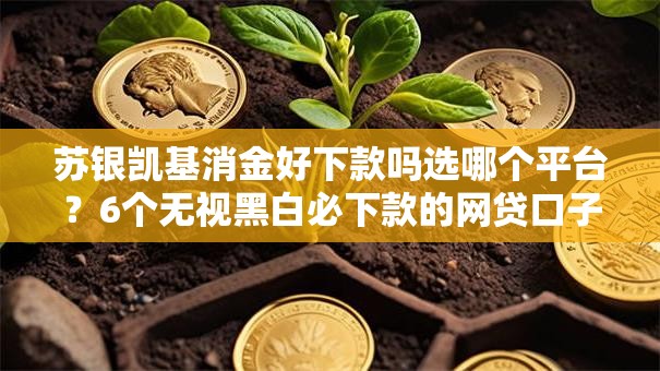 苏银凯基消金好下款吗选哪个平台？6个无视黑白必下款的网贷口子推荐