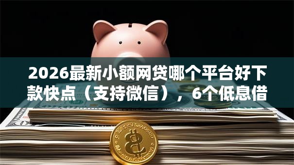 2026最新小额网贷哪个平台好下款快点（支持微信），6个低息借款平台无私分享