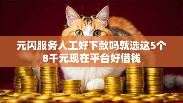 元闪服务人工好下款吗就选这5个8千元现在平台好借钱