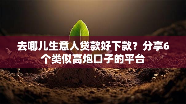 去哪儿生意人贷款好下款？分享6个类似高炮口子的平台