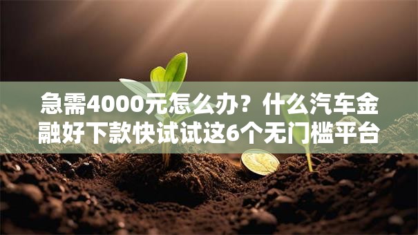 急需4000元怎么办？什么汽车金融好下款快试试这6个无门槛平台