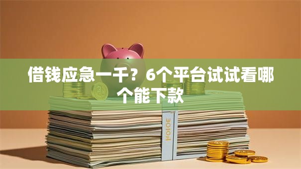 借钱应急一千？6个平台试试看哪个能下款