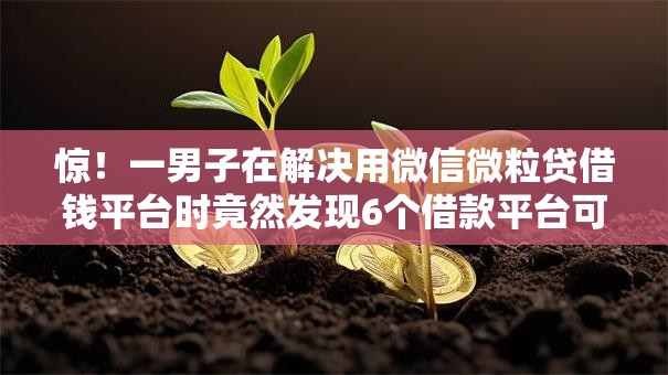 惊！一男子在解决用微信微粒贷借钱平台时竟然发现6个借款平台可以贷款，事后分享了出来