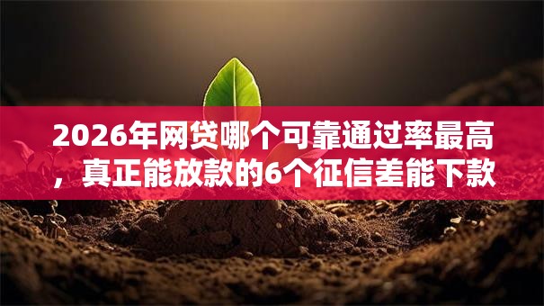 2026年网贷哪个可靠通过率最高，真正能放款的6个征信差能下款的平台推荐
