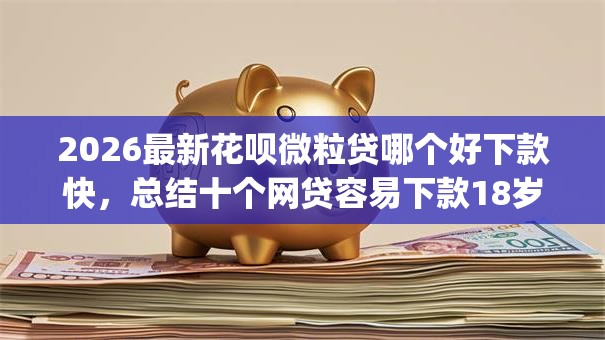 2026最新花呗微粒贷哪个好下款快，总结十个网贷容易下款18岁的app！