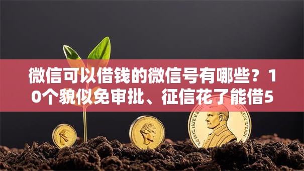 微信可以借钱的微信号有哪些?10个貌似免审批、征信花了能借500到1000的口子合集 微信可以借钱的微信号有哪些?10个貌似免审批、征信花了能借500到1000的口子合集