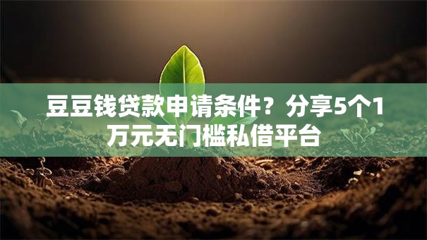 豆豆钱贷款申请条件？分享5个1万元无门槛私借平台