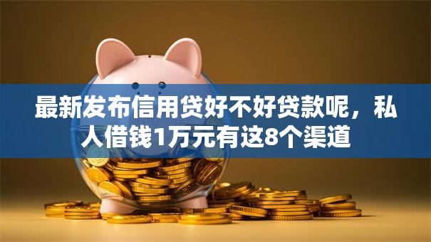 最新发布信用贷好不好贷款呢，私人借钱1万元有这8个渠道