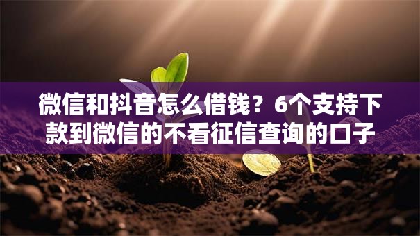 微信和抖音怎么借钱?6个支持下款到微信的不看征信查询的口子 微信和抖音怎么借钱?6个支持下款到微信的不看征信查询的口子