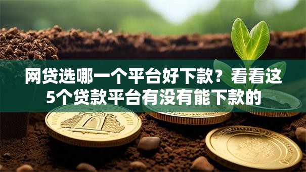 网贷选哪一个平台好下款？看看这5个贷款平台有没有能下款的