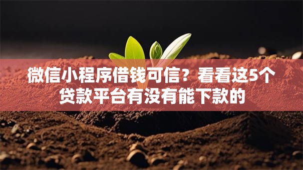 微信小程序借钱可信？看看这5个贷款平台有没有能下款的