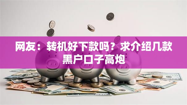 网友:转机好下款吗?求介绍几款黑户口子高炮 网友:转机好下款吗?求介绍几款黑户口子高炮