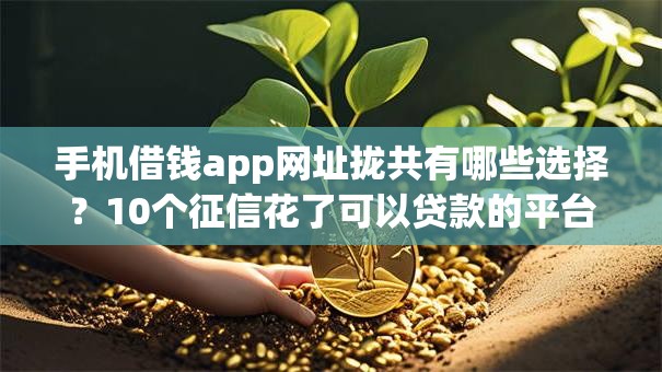 手机借钱app网址拢共有哪些选择？10个征信花了可以贷款的平台详解