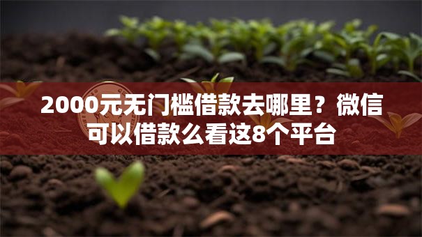 2000元无门槛借款去哪里？微信可以借款么看这8个平台