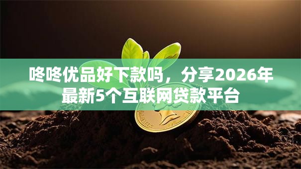 咚咚优品好下款吗，分享2026年最新5个互联网贷款平台