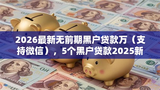 2026最新无前期黑户贷款万（支持微信），5个黑户贷款2025新口子无私分享