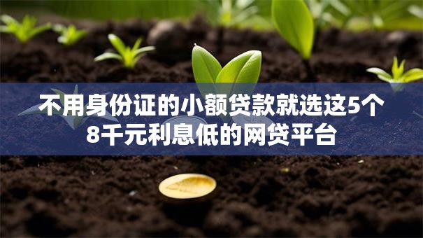 不用身份证的小额贷款就选这5个8千元利息低的网贷平台