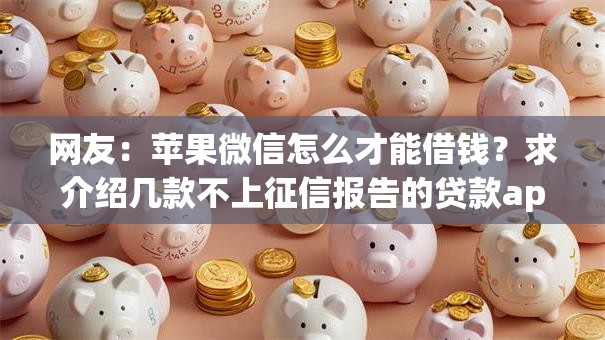 网友：苹果微信怎么才能借钱？求介绍几款不上征信报告的贷款app