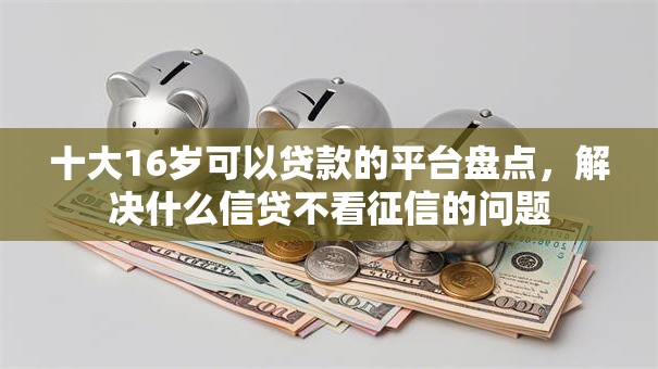 十大16岁可以贷款的平台盘点，解决什么信贷不看征信的问题