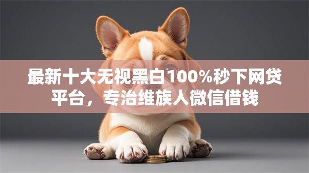 最新十大无视黑白100%秒下网贷平台，专治维族人微信借钱