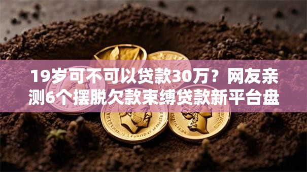 19岁可不可以贷款30万？网友亲测6个摆脱欠款束缚贷款新平台盘点