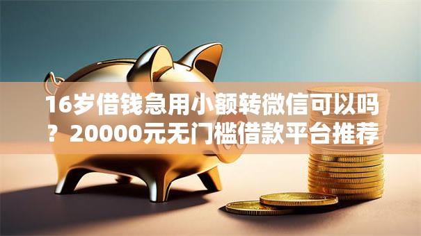 16岁借钱急用小额转微信可以吗？20000元无门槛借款平台推荐，5个网贷平台大全盘点