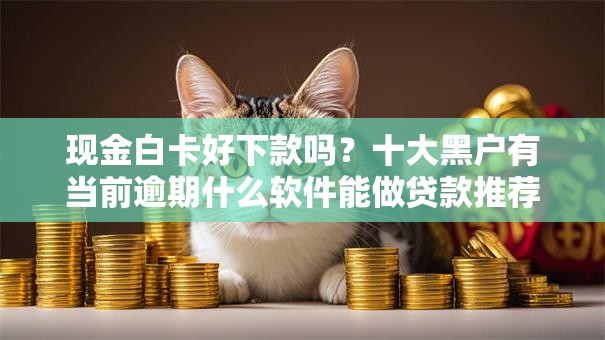 现金白卡好下款吗？十大黑户有当前逾期什么软件能做贷款推荐