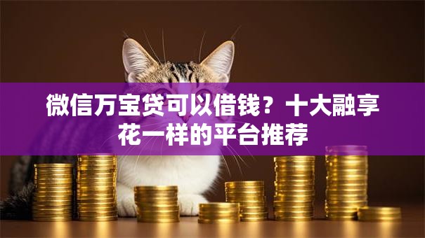 微信万宝贷可以借钱？十大融享花一样的平台推荐