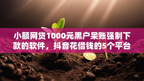 小额网贷1000元黑户呆账强制下款的软件,抖音花借钱的5个平台介绍 小额网贷1000元黑户呆账强制下款的软件,抖音花借钱的5个平台介绍