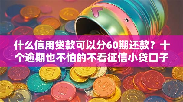 什么信用贷款可以分60期还款？十个逾期也不怕的不看征信小贷口子