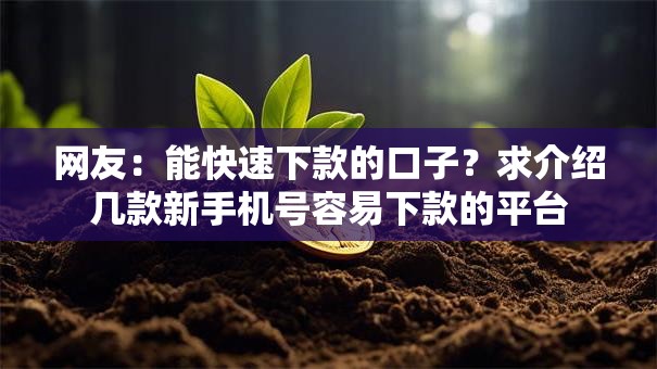 网友：能快速下款的口子？求介绍几款新手机号容易下款的平台