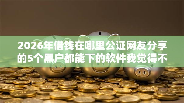 2026年借钱在哪里公证网友分享的5个黑户都能下的软件我觉得不错！