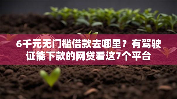 6千元无门槛借款去哪里?有驾驶证能下款的网贷看这7个平台 6千元无门槛借款去哪里?有驾驶证能下款的网贷看这7个平台