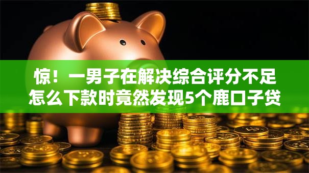 惊！一男子在解决综合评分不足怎么下款时竟然发现5个鹿口子贷款，事后分享了出来