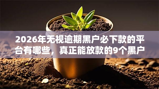 2026年无视逾期黑户必下款的平台有哪些,真正能放款的9个黑户快速下款的口子推荐 2026年无视逾期黑户必下款的平台有哪些,真正能放款的9个黑户快速下款的口子推荐