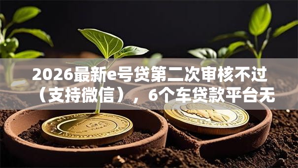 2026最新e号贷第二次审核不过（支持微信），6个车贷款平台无私分享