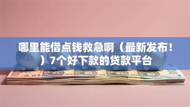 哪里能借点钱救急啊（最新发布！）7个好下款的贷款平台
