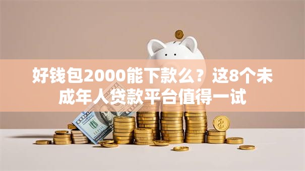 好钱包2000能下款么？这8个未成年人贷款平台值得一试